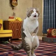 <b>明就问拆修师傅怎样回事</b>